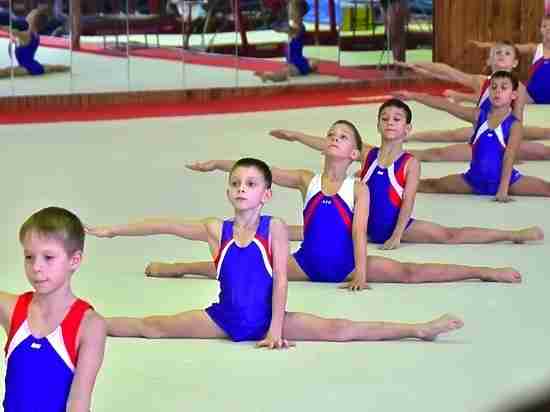 Красноярские спортивные гимнасты завоевали 67 медалей 